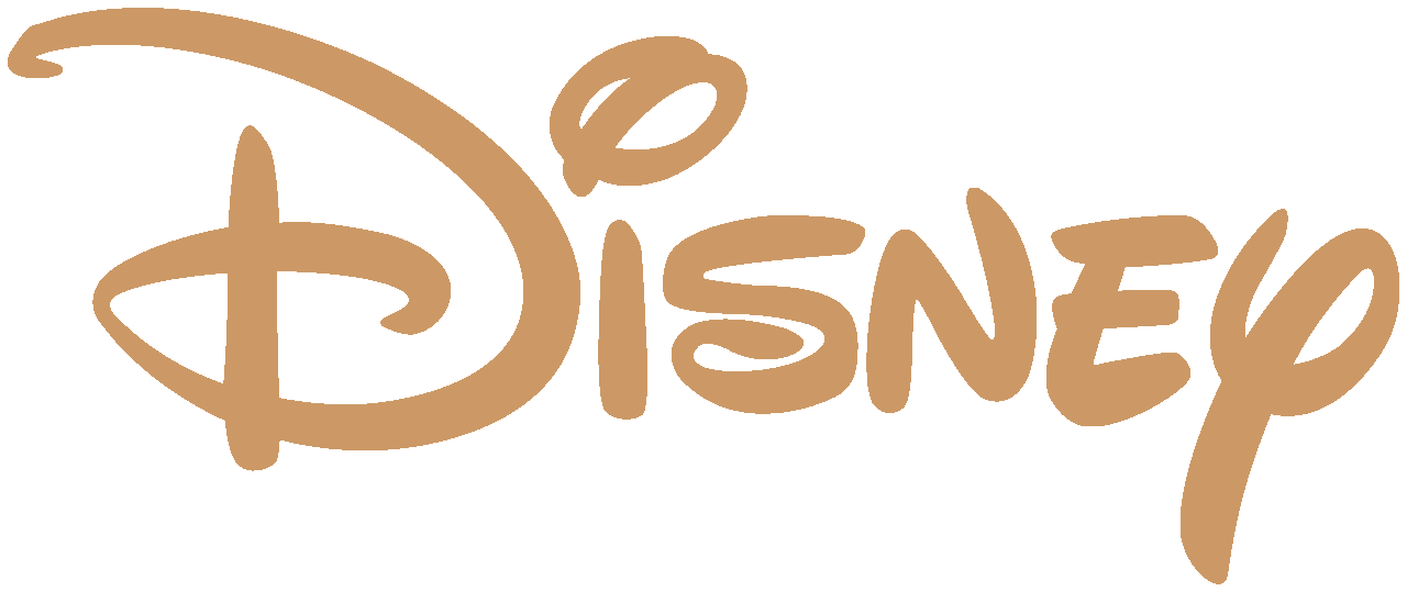 disney logo FRont